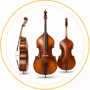 Đàn Contrabass & Double Bass