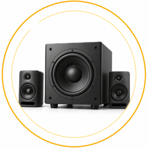 Subwoofer Kiểm Âm