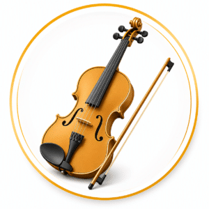 Violin, Viola, Cello & Contrabass
