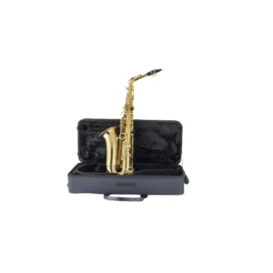 Selmer- Prelude Alto Saxophone PAS111 Selmer Prelude Alto Saxophone PAS111 2