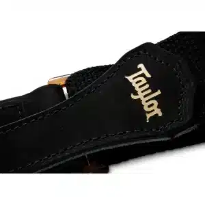 day deo guitar taylor 4013 20 black 1