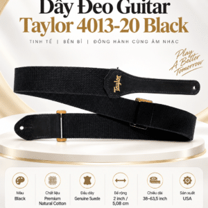 day deo guitar taylor 4013 20 black 4