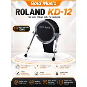 ROLAND TRỐNG PAD KD-12 roland trong pad kd 12 1