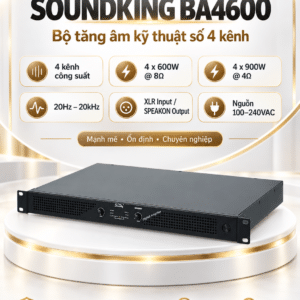 soundking ba4600 1