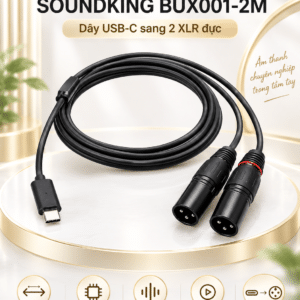 soundking bux001 2m 1