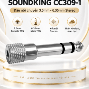 soundking cc309 1 1