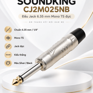 soundking cj2m025nb