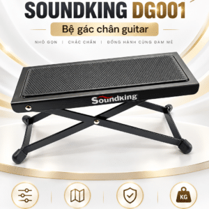 soundking dg001 2