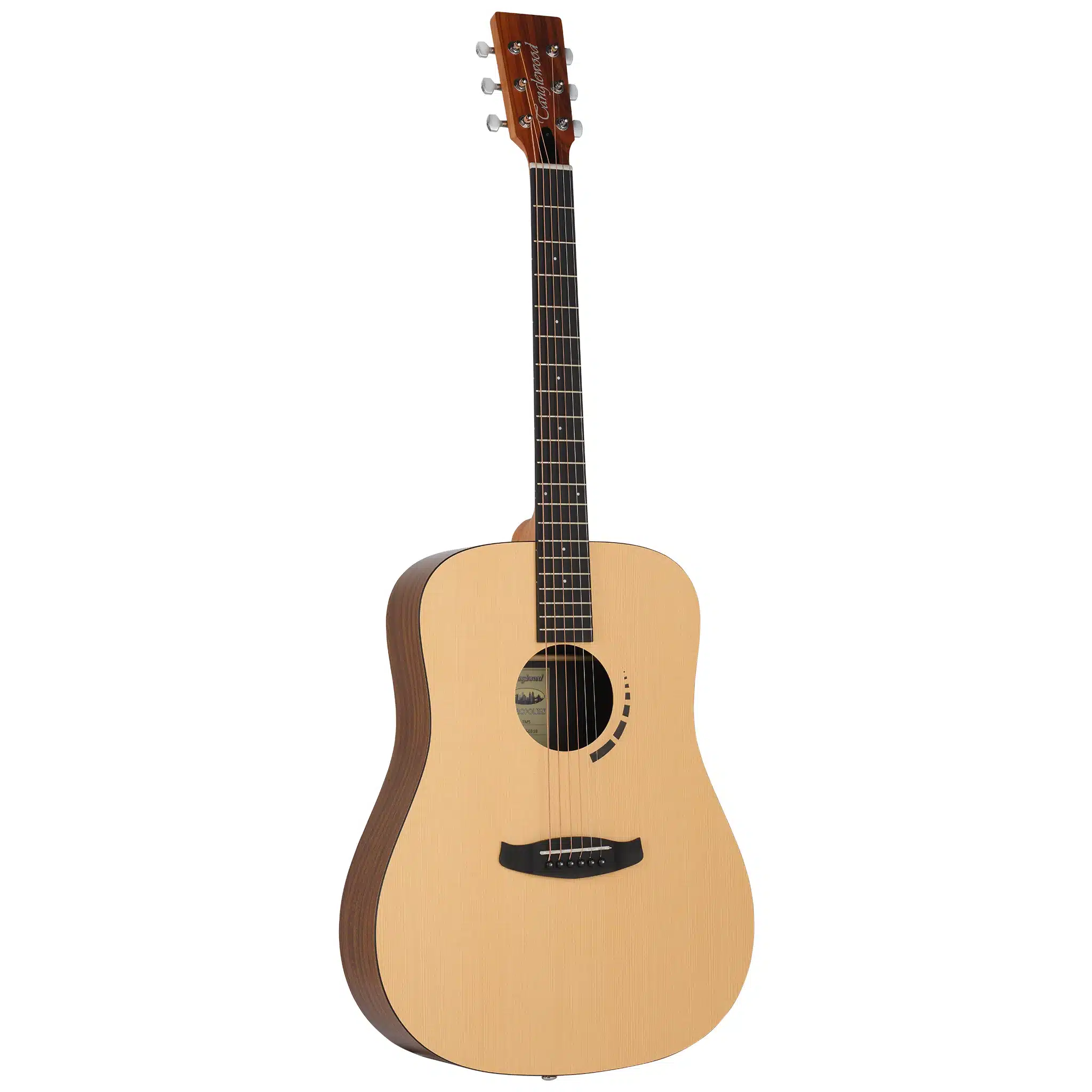 tanglewood dan guitar acoustic tm5 1 tanglewood dan guitar acoustic tm5 1