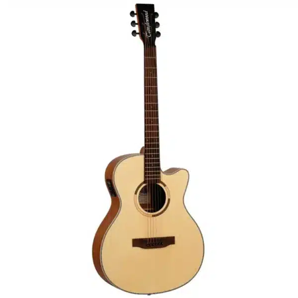 tanglewood dan guitar acoustic ts4ce 1