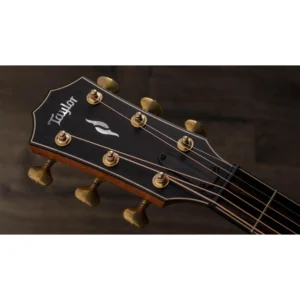 TAYLOR ĐÀN GUITAR ACOUSTIC RW/ADIRONDACK SPR 814CE BUILDER taylor dan guitar acoustic rw adirondack spr 814ce builder 2