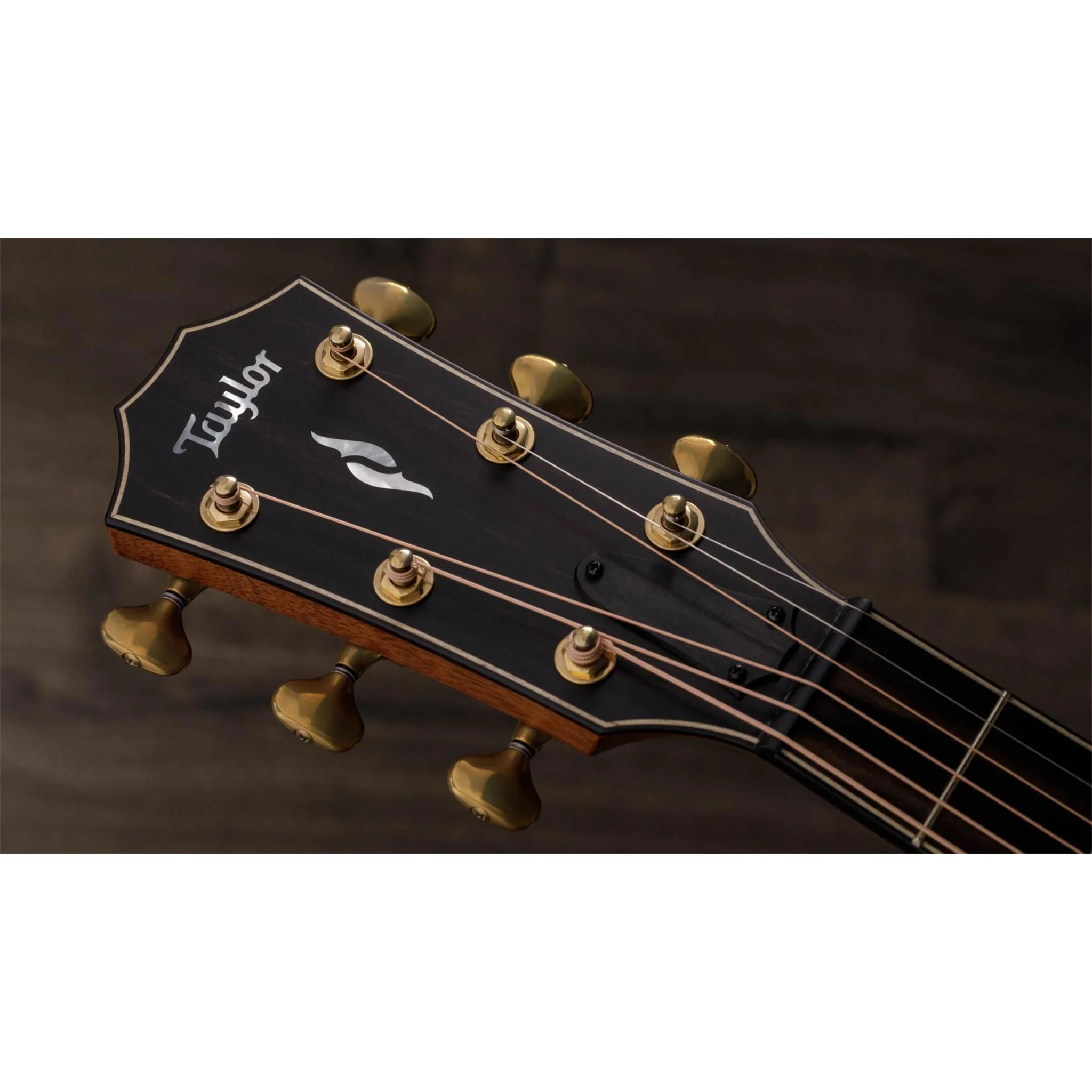 TAYLOR ĐÀN GUITAR ACOUSTIC RW/ADIRONDACK SPR 814CE BUILDER taylor dan guitar acoustic rw adirondack spr 814ce builder 2