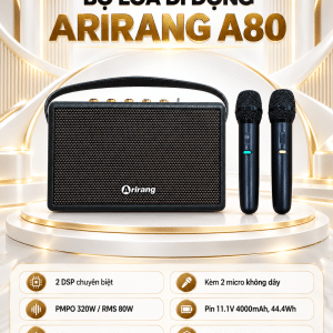 bo loa di dong arirang a80 4